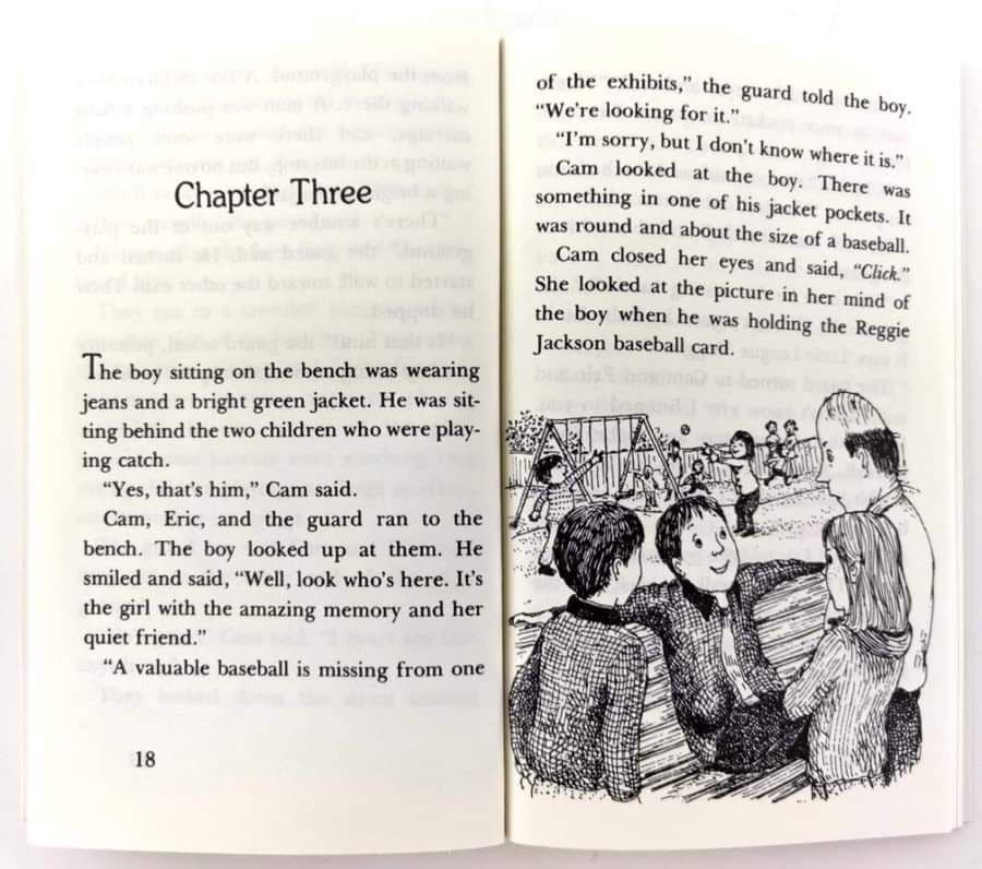 新品。海外購入]36冊 Cam Jansen書読英語教材