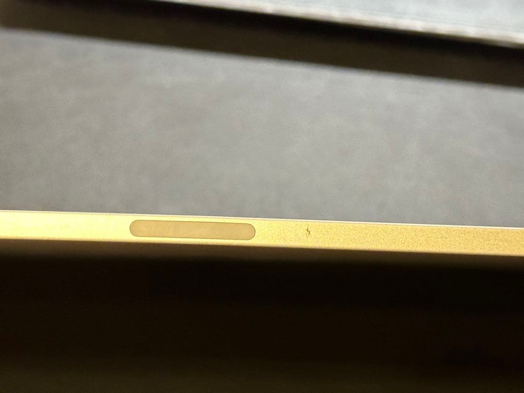 iPad pro 第3世代　12.9 64gb wifiモデル