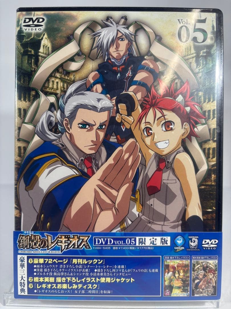 鋼殻のレギオス 限定版　未開封dvd 10巻セット