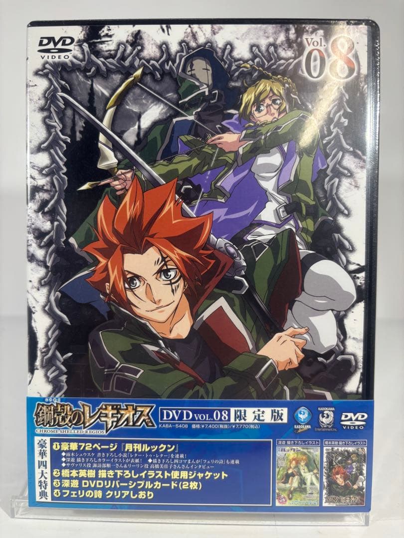 鋼殻のレギオス 限定版　未開封dvd 10巻セット