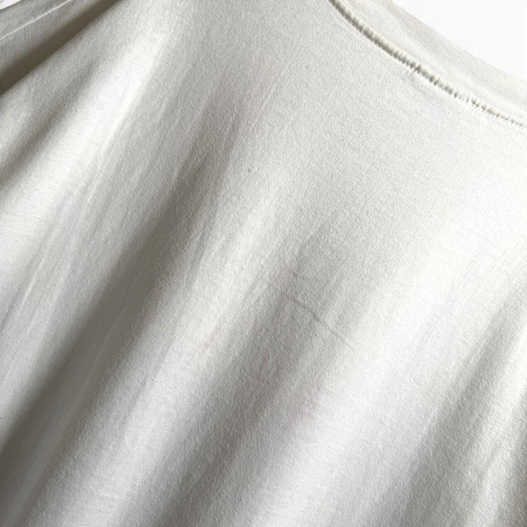 90s Hanes USA製 昆虫 蝶 グラフィックTシャツ XL H09