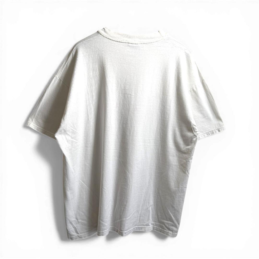 90s Hanes USA製 昆虫 蝶 グラフィックTシャツ XL H09