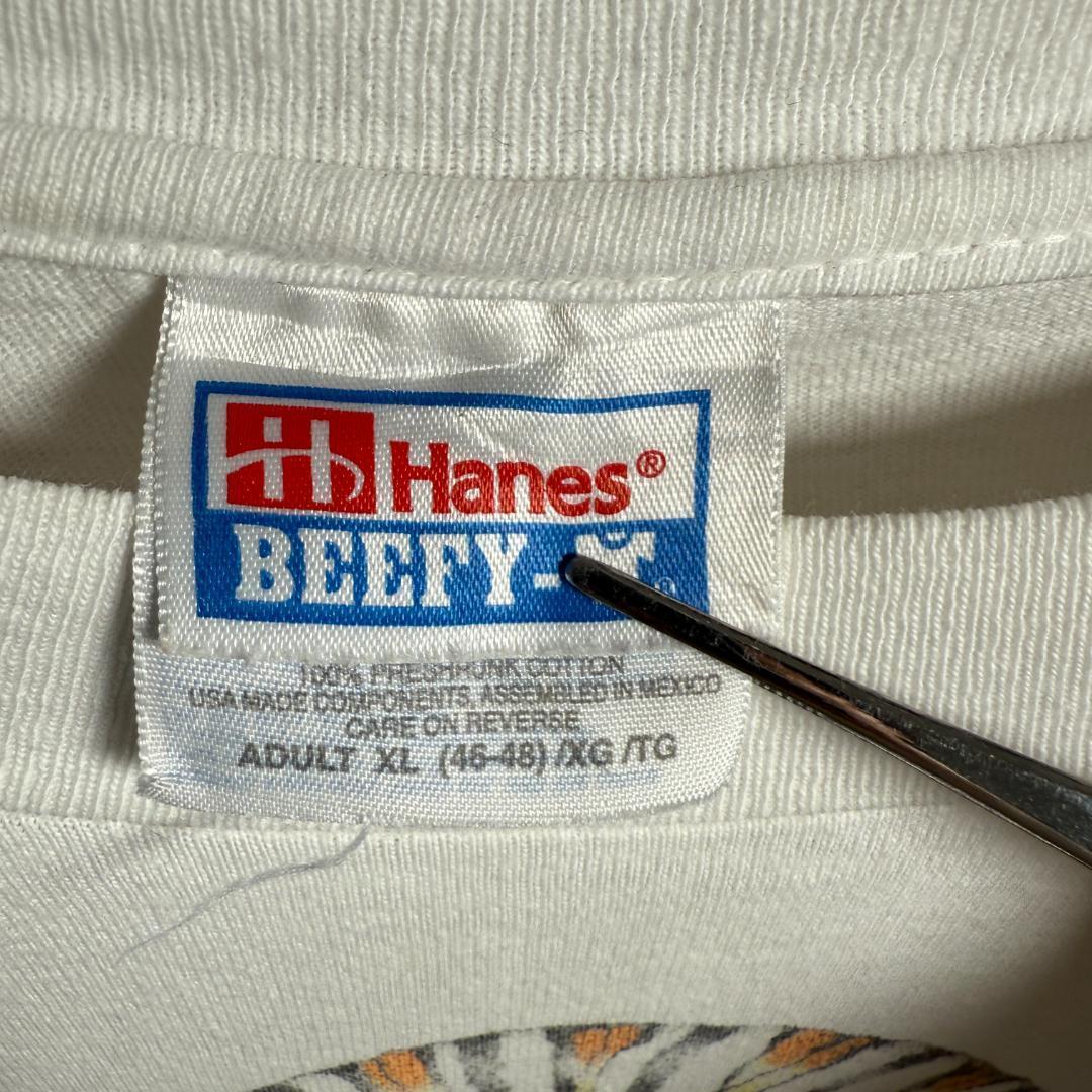 90s Hanes USA製 昆虫 蝶 グラフィックTシャツ XL H09