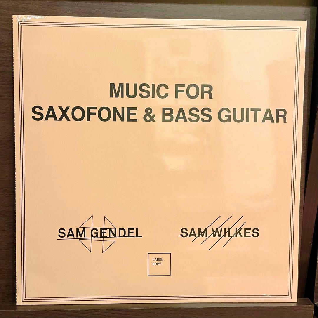 【ラストストック】Sam Gendel & Sam Wilkes レコードセット