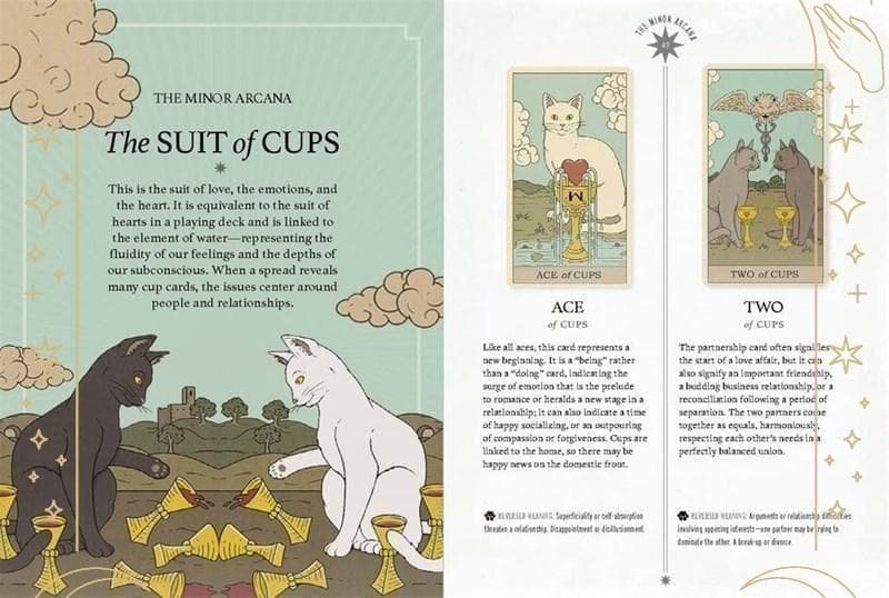 正規品✨人気デッキ✨日本版未発売✨可愛いにゃんこ♪地球の猫たちのタロットカード