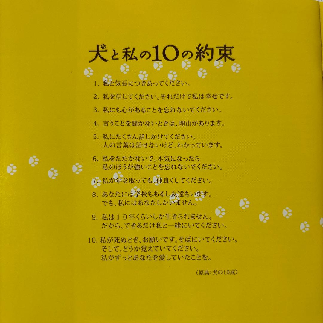 犬と私の10の約束　オリジナルサウンドトラックCD 【最終価格】