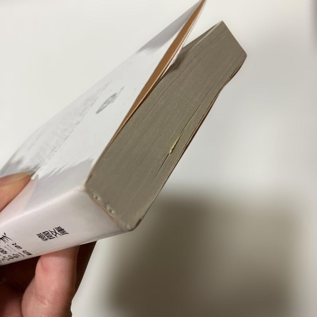 アミ3度めの約束 愛はすべてをこえて