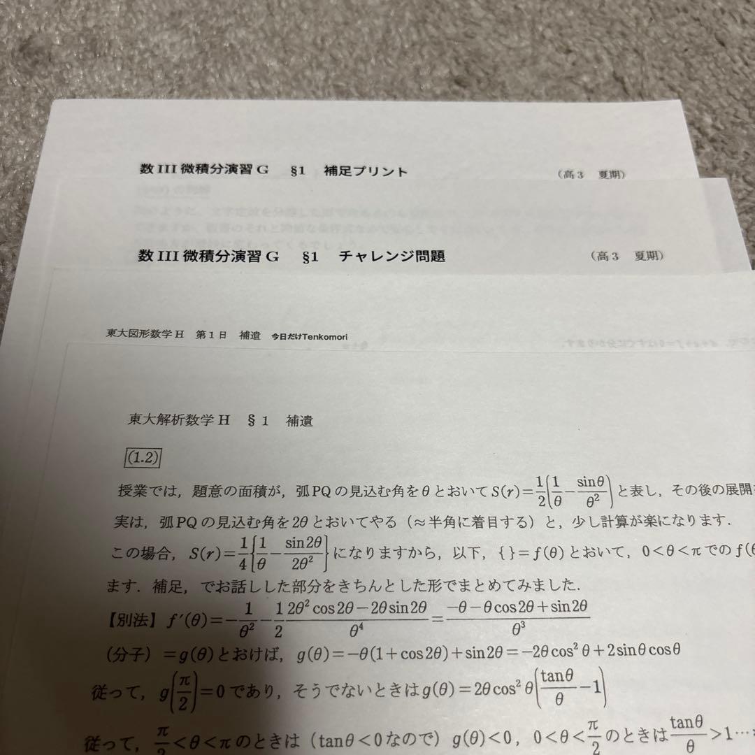 SEG 東大図形数学、東大解析数学、微積演習G、板書ノート、プリント全種