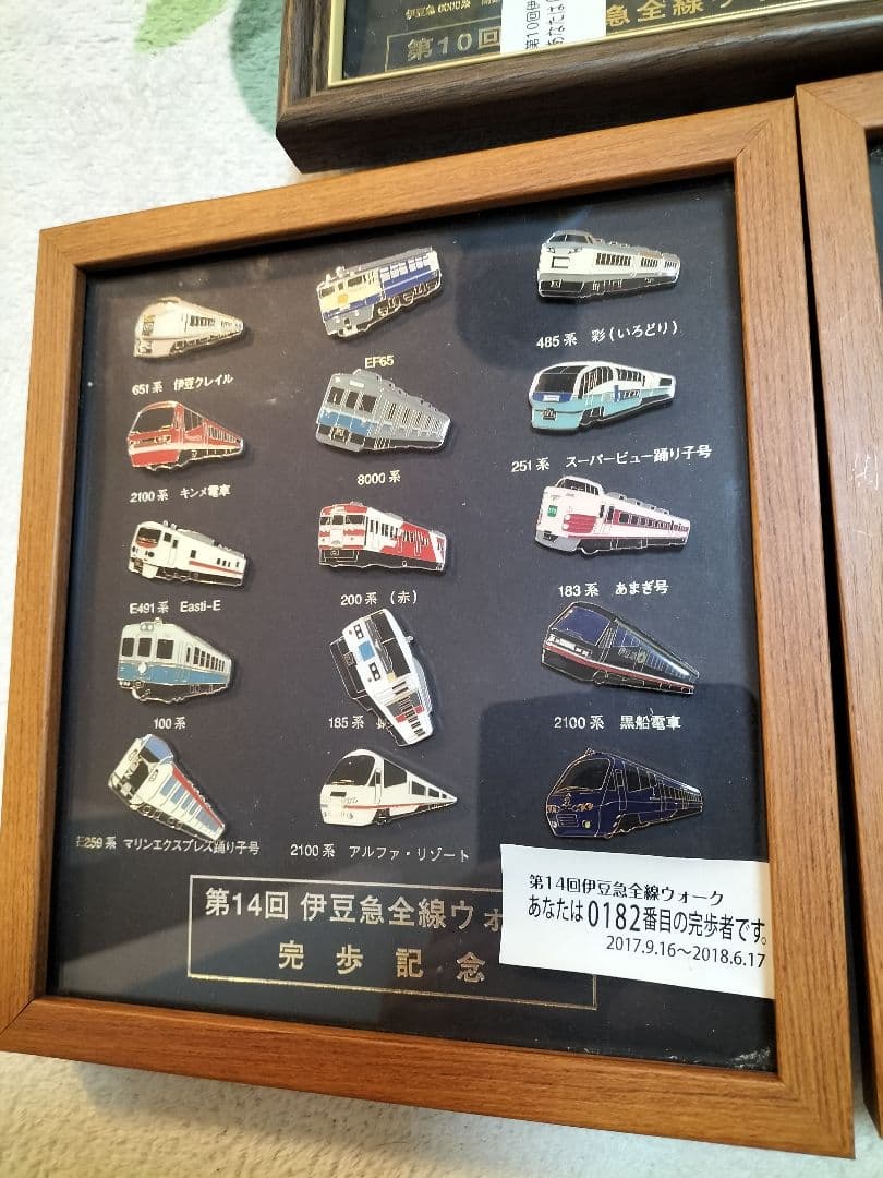 伊豆急行全線　ウォーク完歩記念バッチ　3セット分　伊豆急　JR ピンバッジ