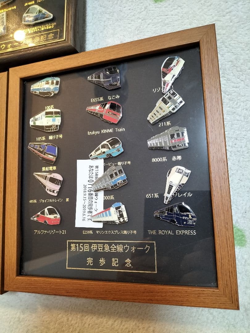 伊豆急行全線　ウォーク完歩記念バッチ　3セット分　伊豆急　JR ピンバッジ
