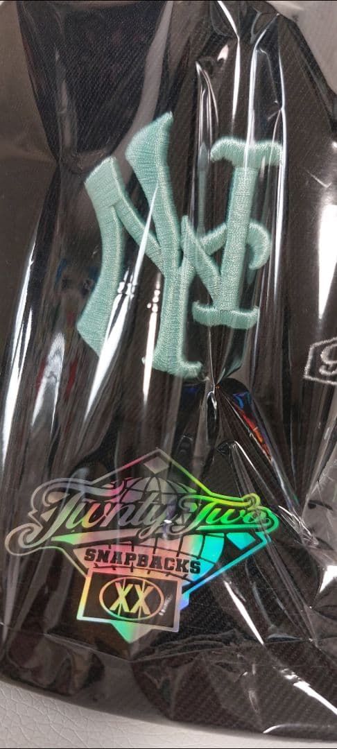 新品未使用☆TWNTY TWO NY TIFFANY SNAPBACK CAP☆