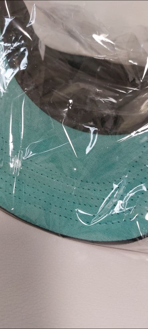 新品未使用☆TWNTY TWO NY TIFFANY SNAPBACK CAP☆