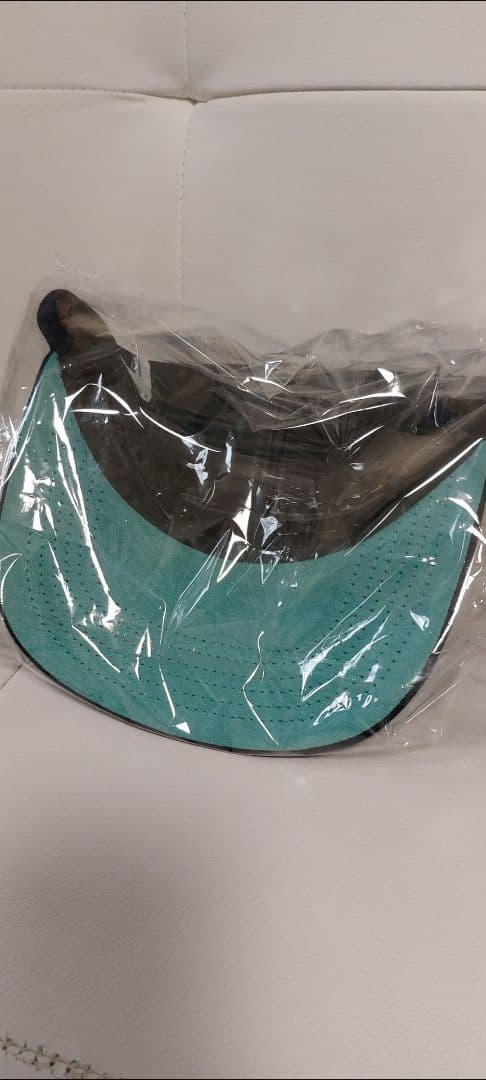 新品未使用☆TWNTY TWO NY TIFFANY SNAPBACK CAP☆