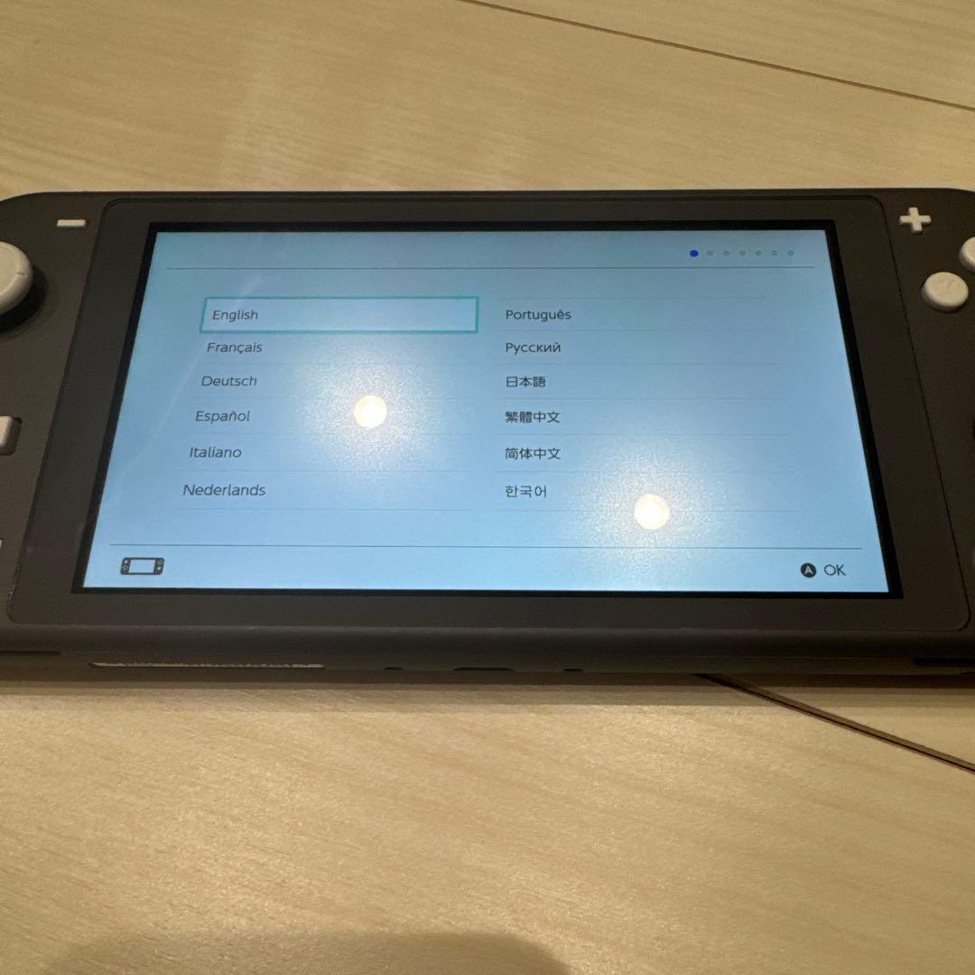 Nintendo Switch Lite グレー ACアダプター付