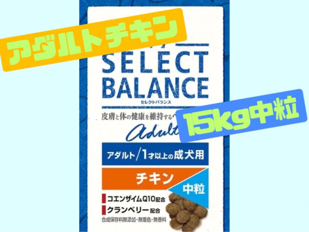 マサ