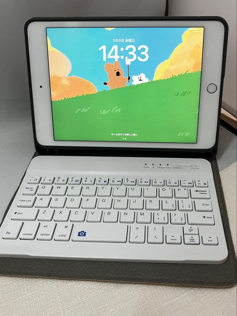 美品　iPad Mini 第5世代 WiFi 256G キーボードカバー付