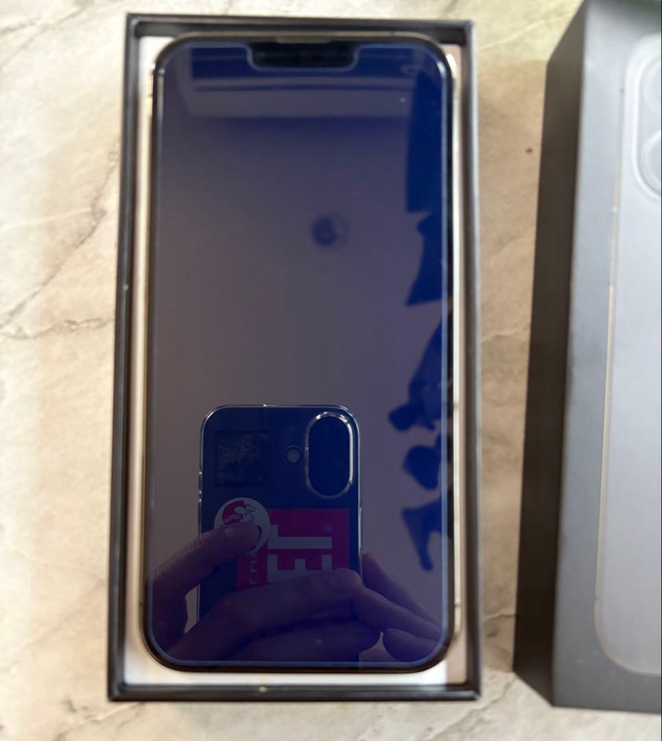 Apple iPhone 13 Pro グラファイト 本体