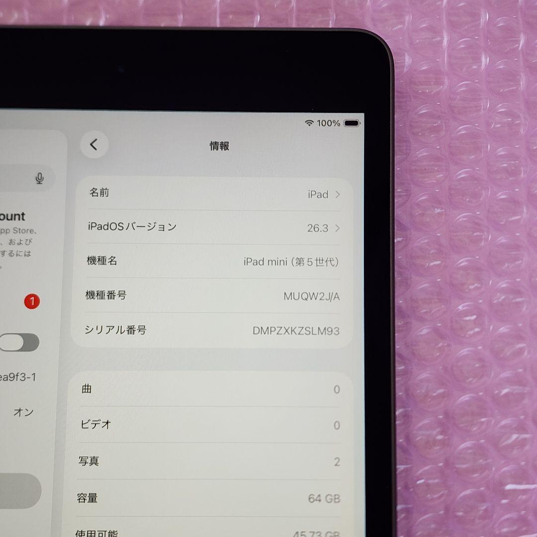 良品　iPad mini (第5世代)　バッテリー大変良好　Wi-Fiモデル