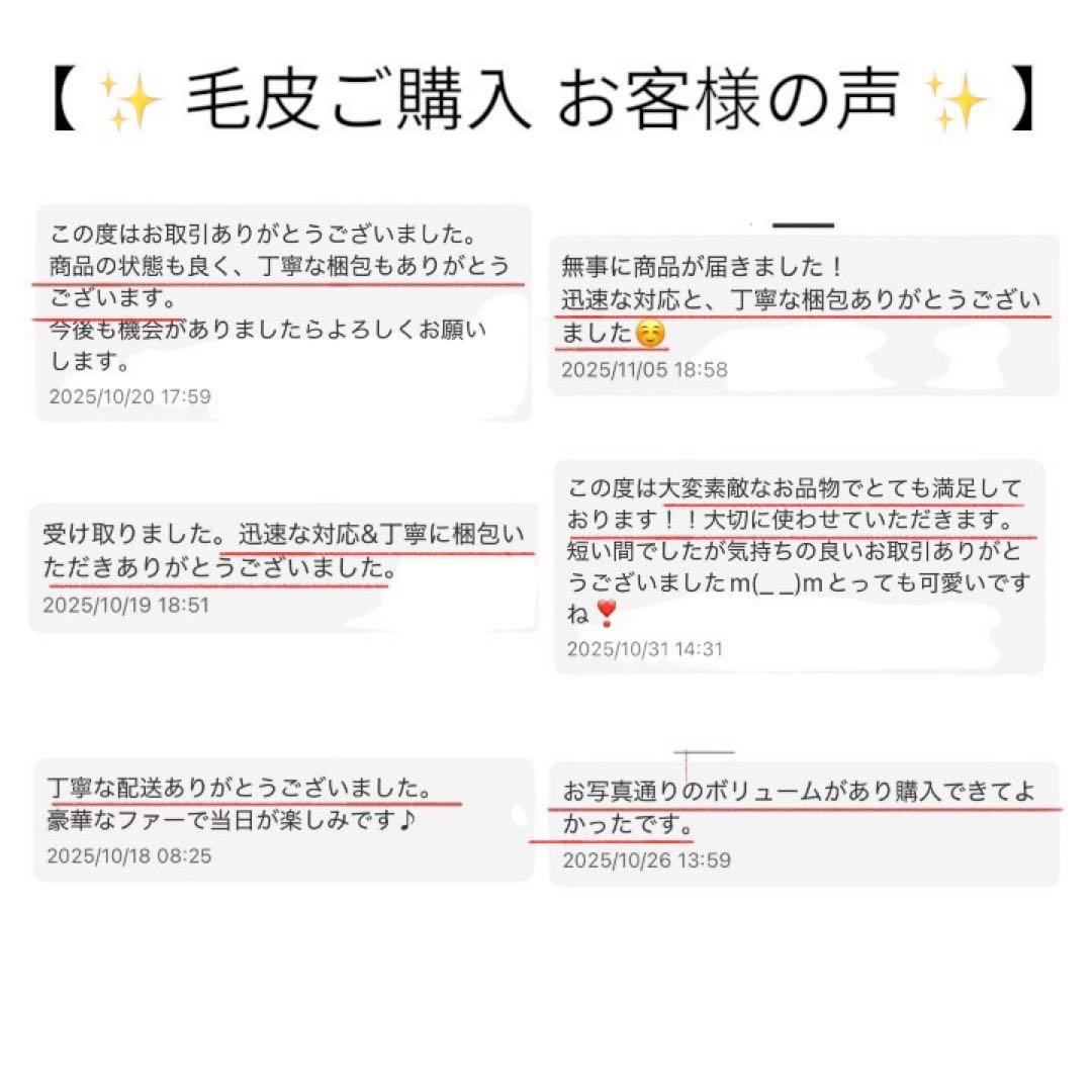 ✨極美品✨　サガフォックス　毛皮　ショール　マフラー　成人式　振袖　着物