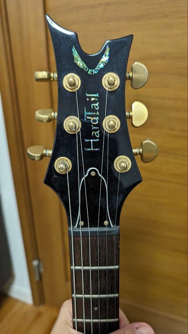 Dean hardtail Pro Tremolo TPK フジゲン製