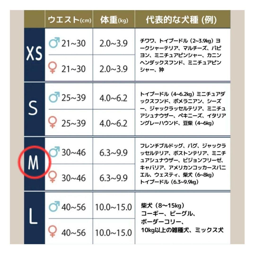 うんコロキャッチ　M　3枚セット