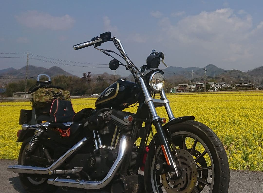 バイクシート ボタン付き 黒