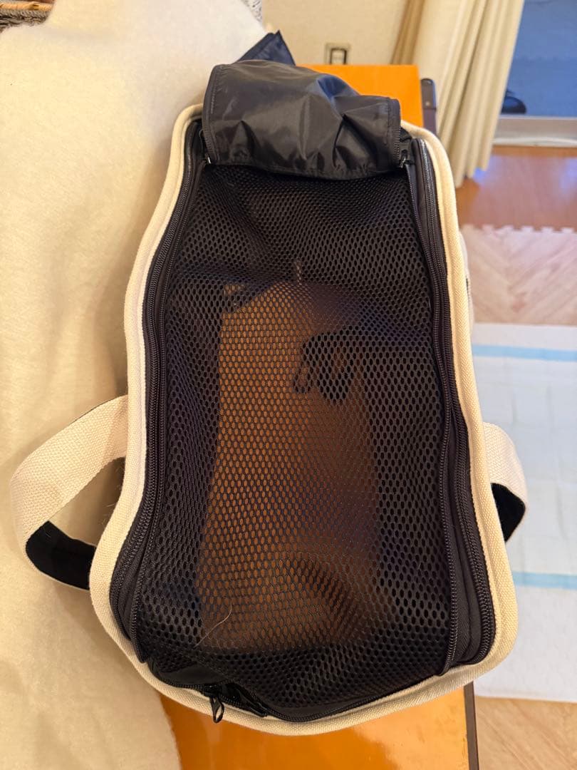 PUFF pet carry tote Lサイズ