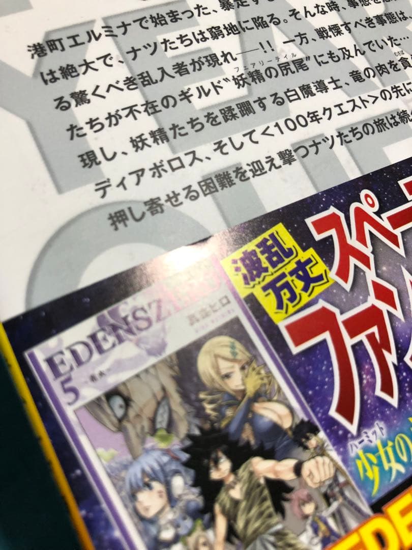 FAIRY TAIL 100 YEARS QUEST (１)〜(19) ②