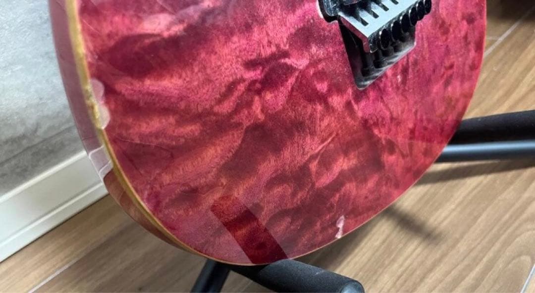 z*o様 ESP SNAPPER CTM 24 FR