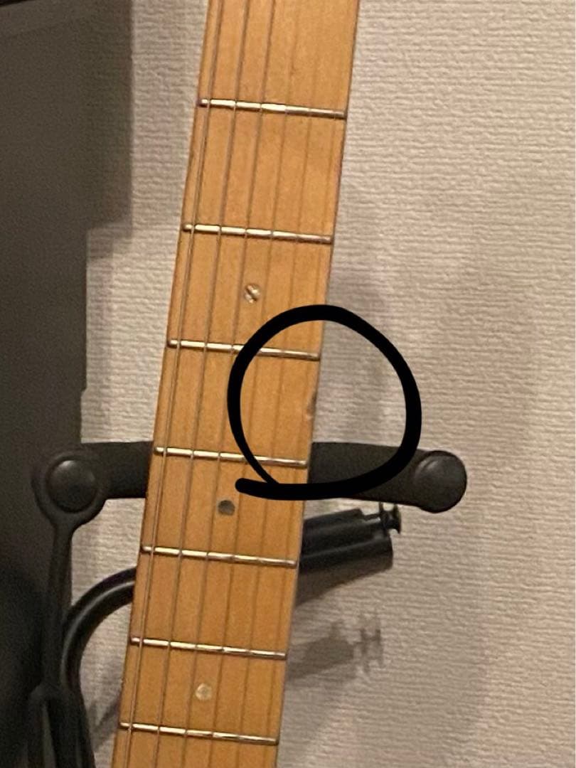 z*o様 ESP SNAPPER CTM 24 FR