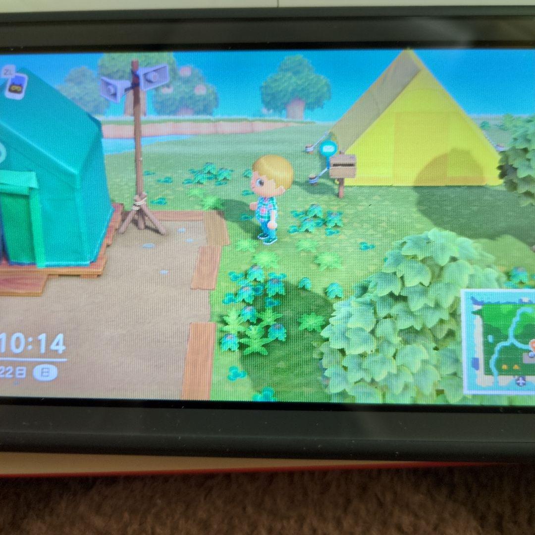 スイッチライト本体