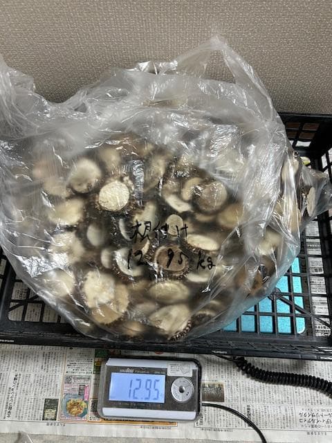 Susi商品　詰め合わせ