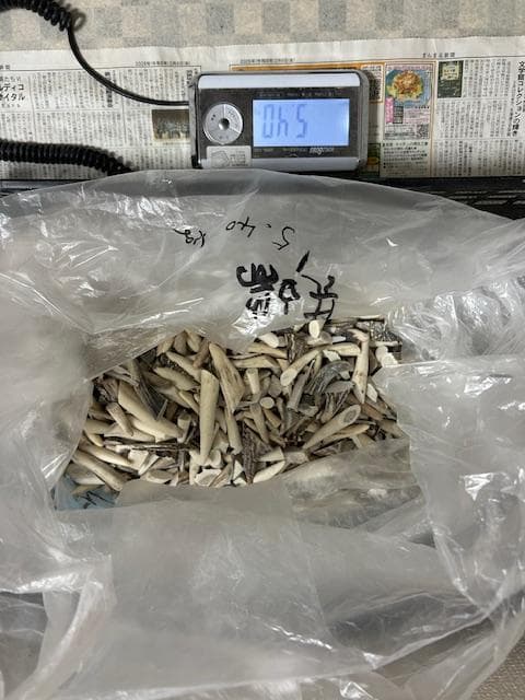 Susi商品　詰め合わせ