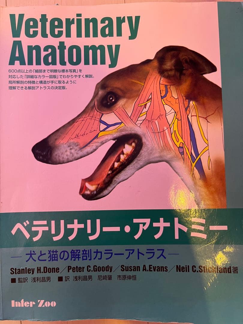 Veterinary Anatomy ベテリナリー・アナトミー
