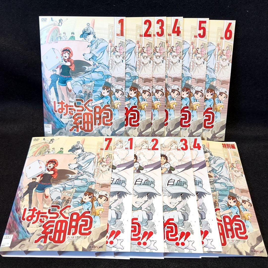 新品ケース付 はたらく細胞 シーズン1と2 特別編 計12巻セット