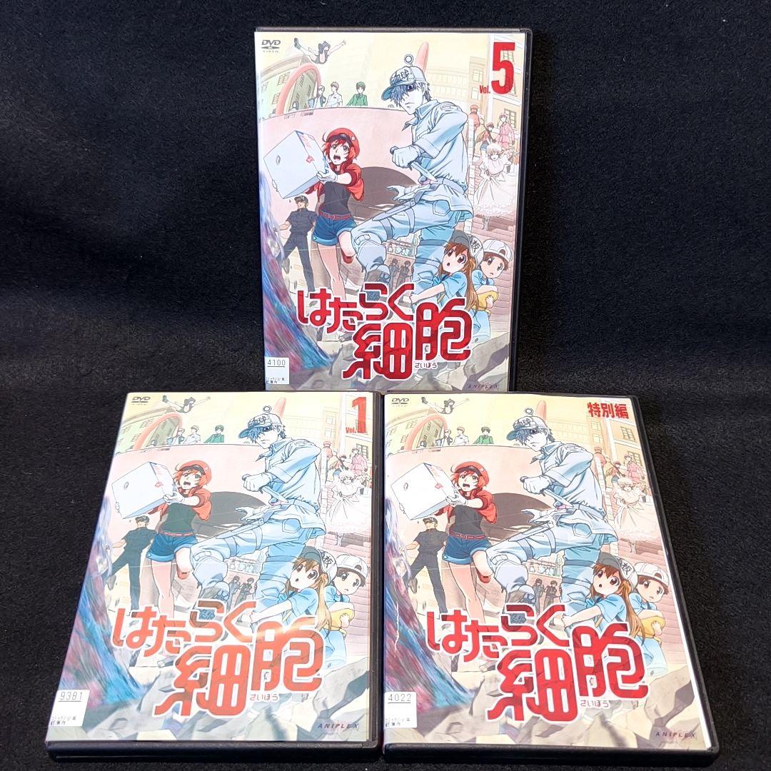 新品ケース付 はたらく細胞 シーズン1と2 特別編 計12巻セット