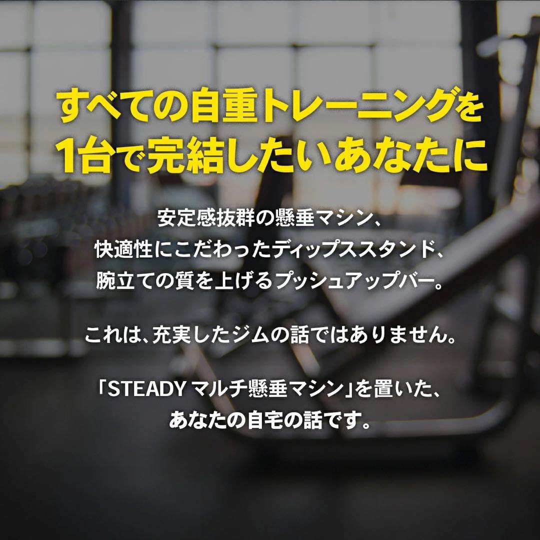 STEADY 懸垂 懸垂マシン　懸垂バー ぶら下がり健康器 チンニング　宅トレ