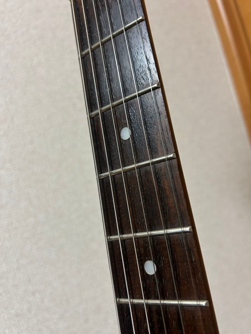 PhotGenic ストラトタイプ各部調整済み