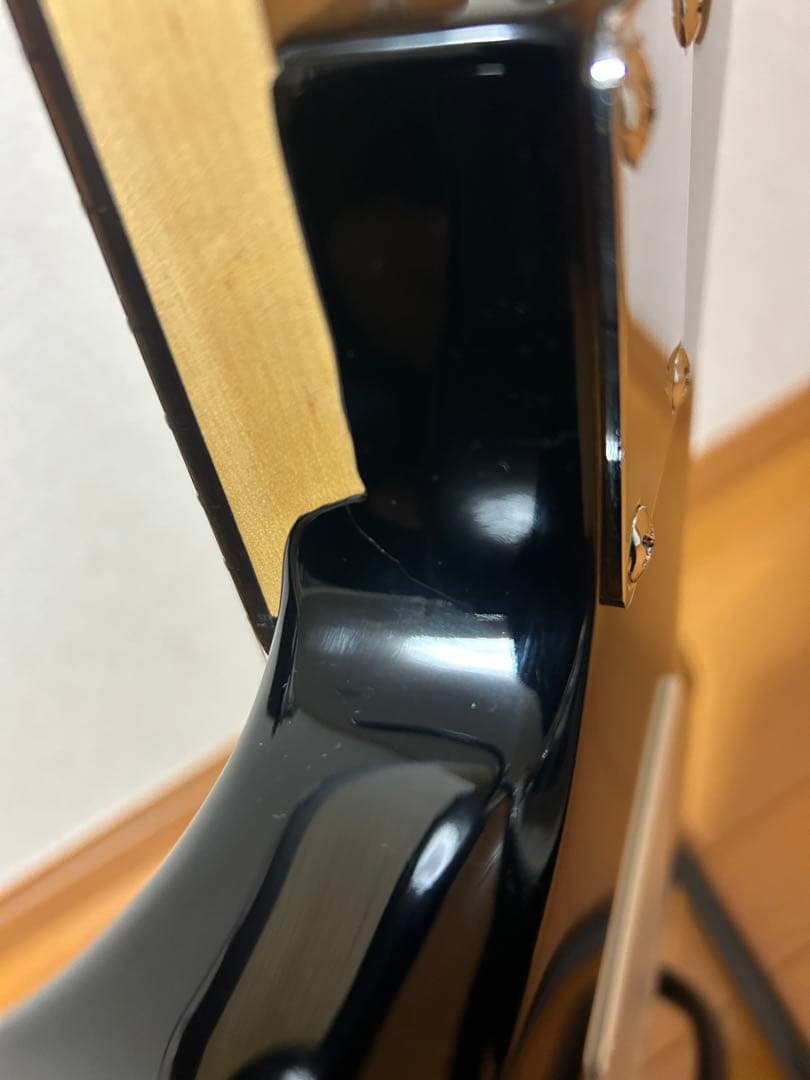 PhotGenic ストラトタイプ各部調整済み