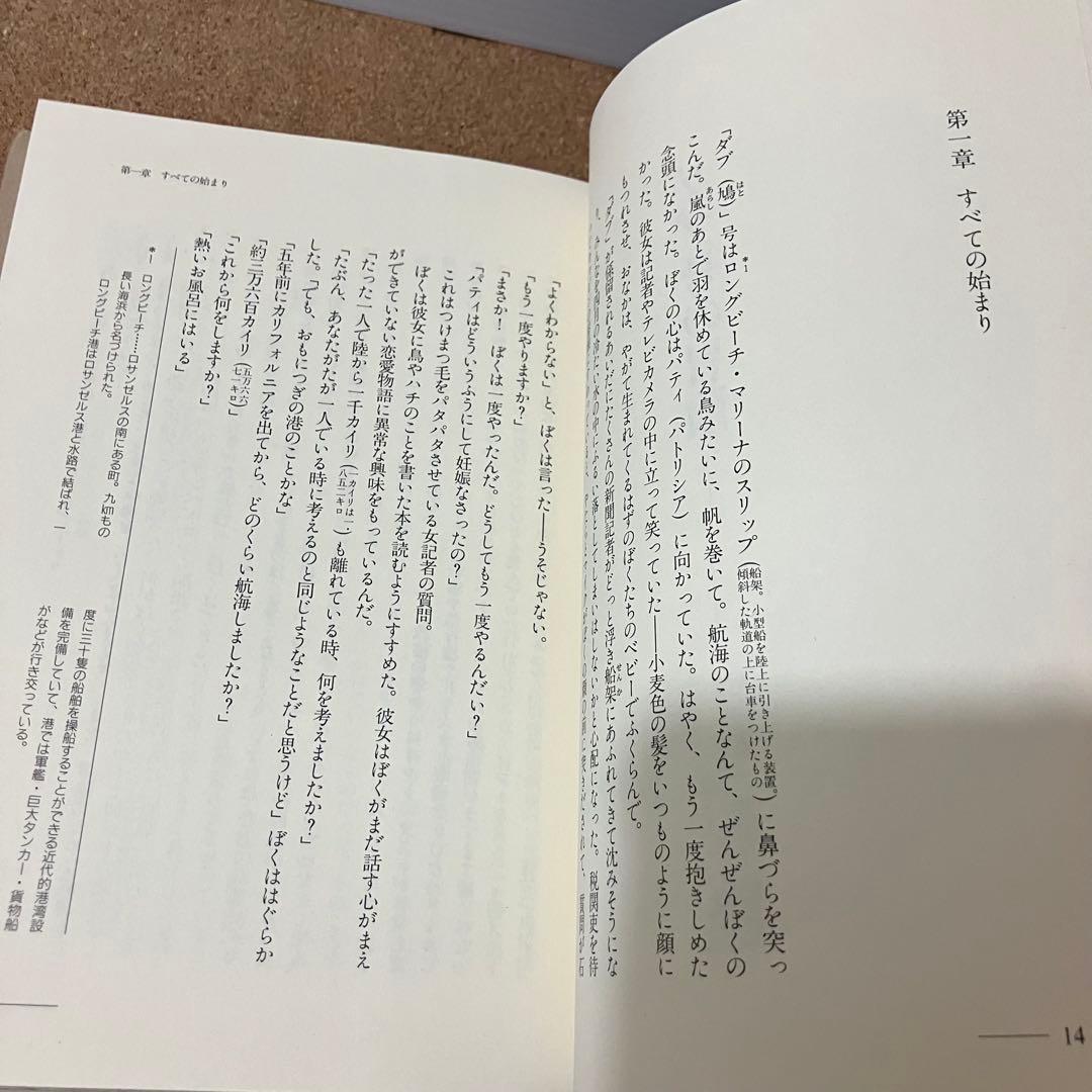 【初版・希少品】ダブ号の冒険 R・L・グレアム