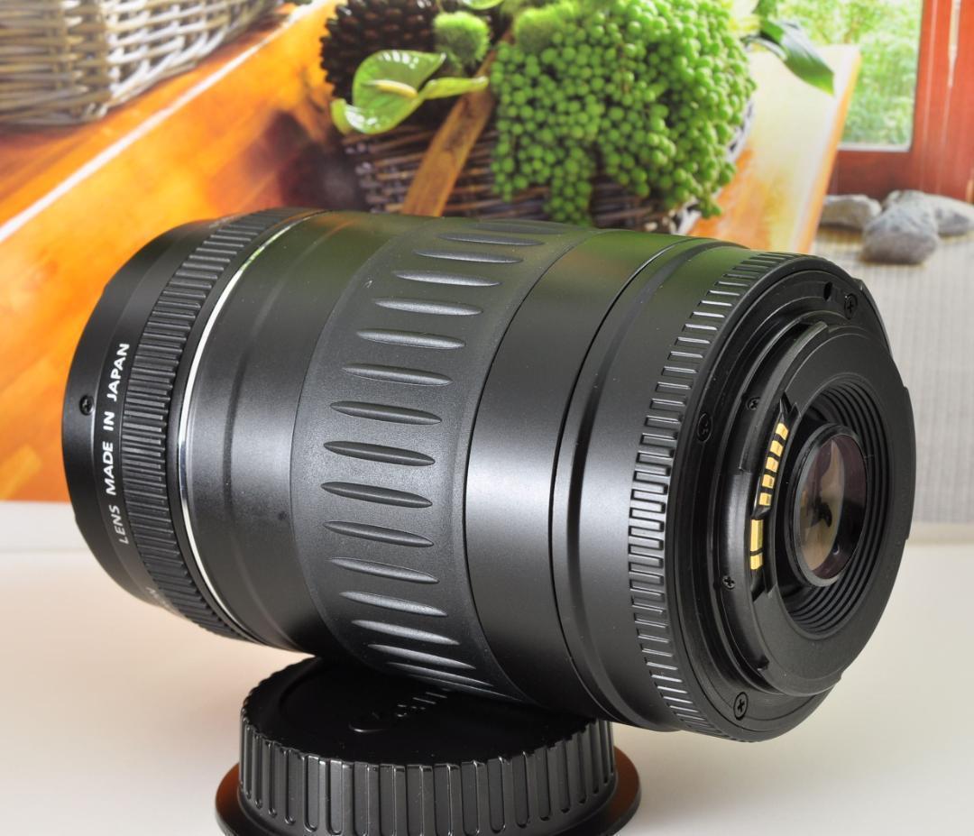 望遠レンズ Canon キヤノン 迫力の90-300mm レンズフード付き！