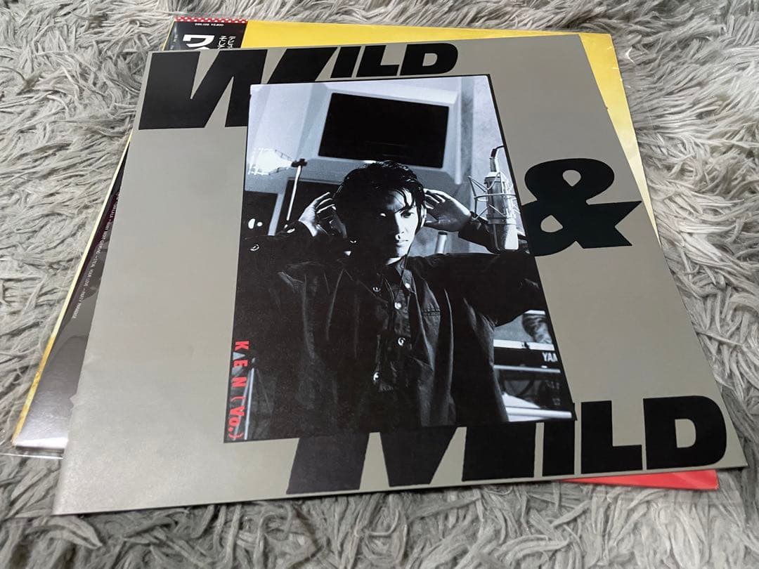 岩城憲 WILD & MILD LP