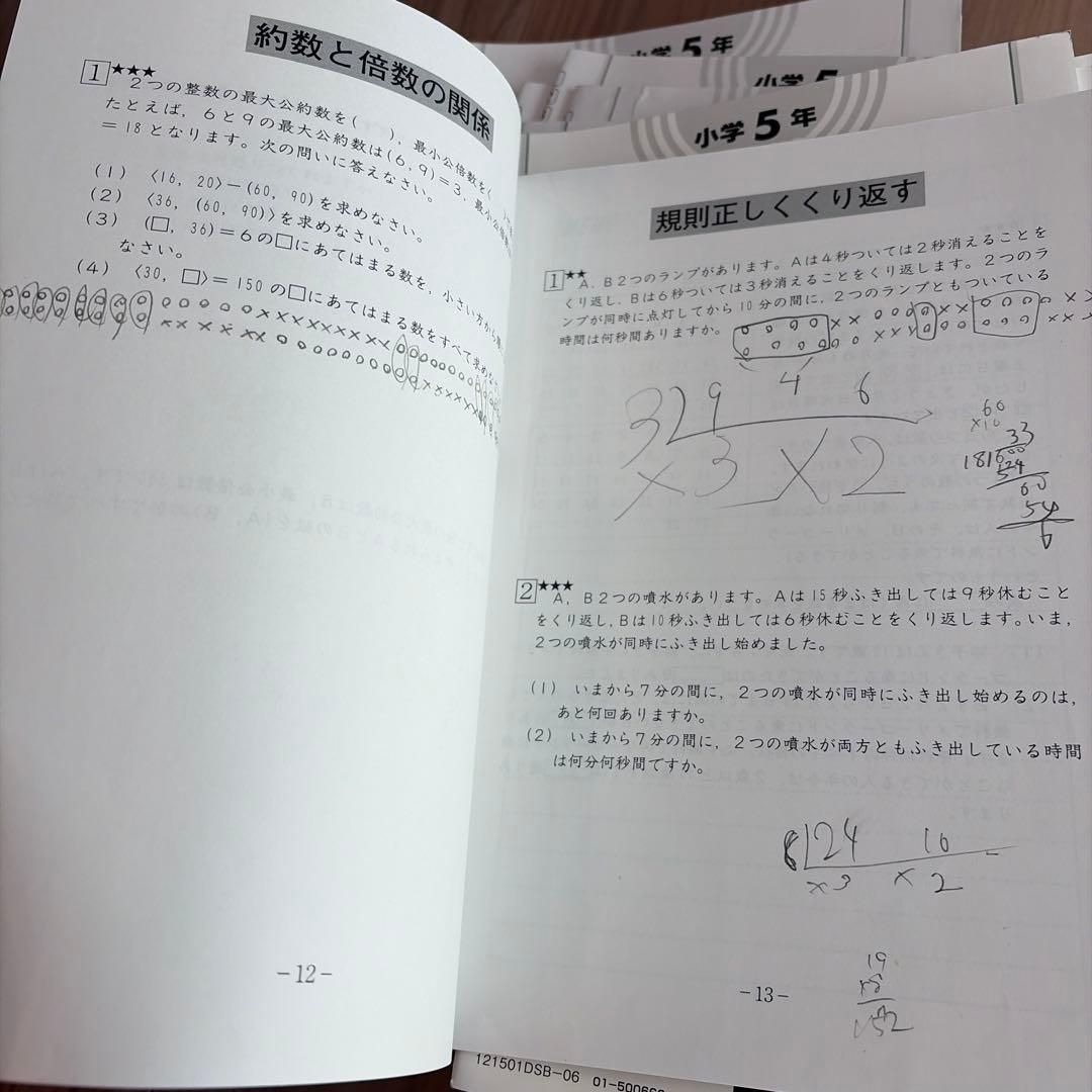 A*e様 2021年5年デイリーサピックス510-01〜37全解答解説付き　未使