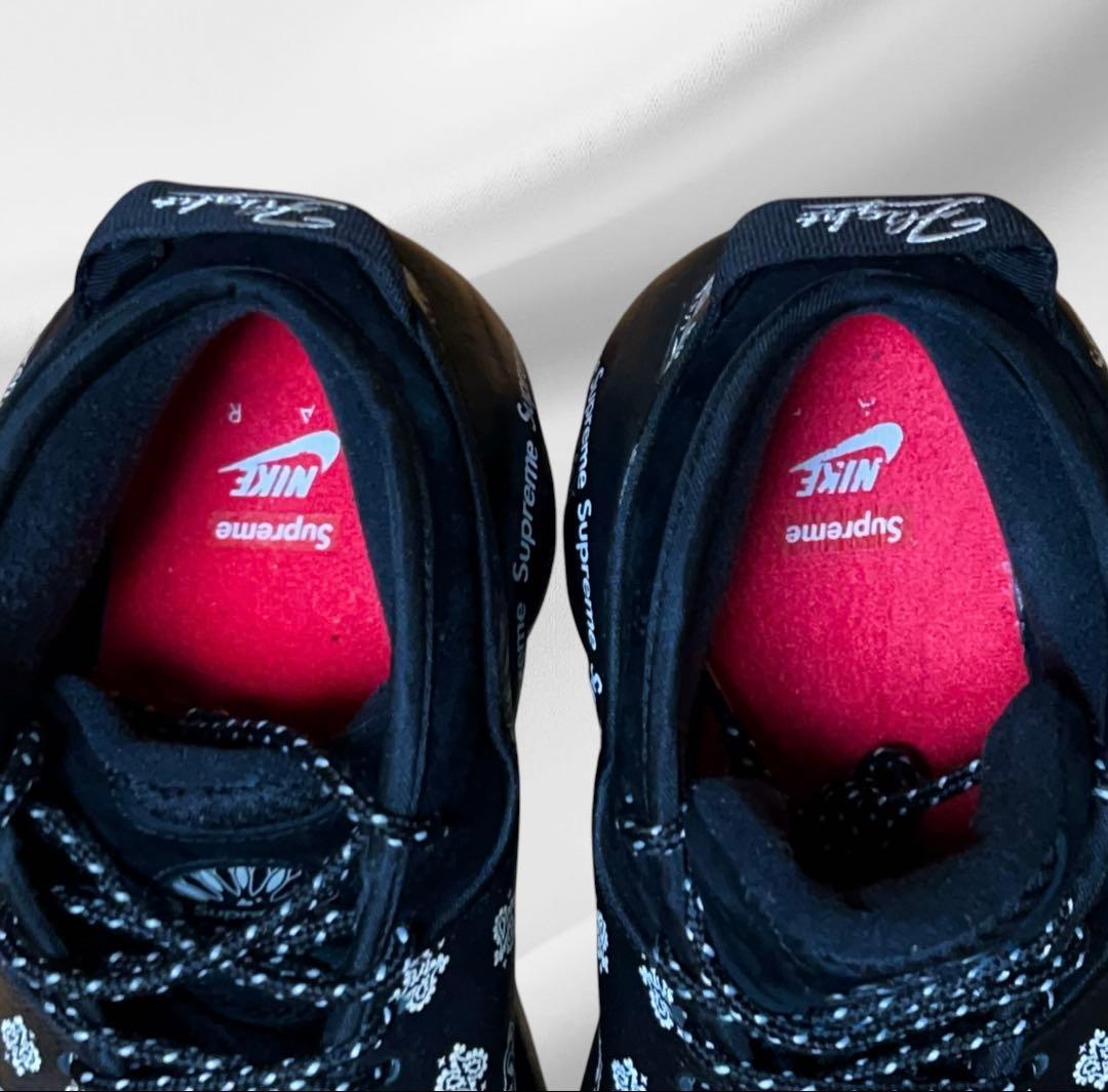 supreme/nike シュプリーム×ナイキ エア ズーム フライト95 SP