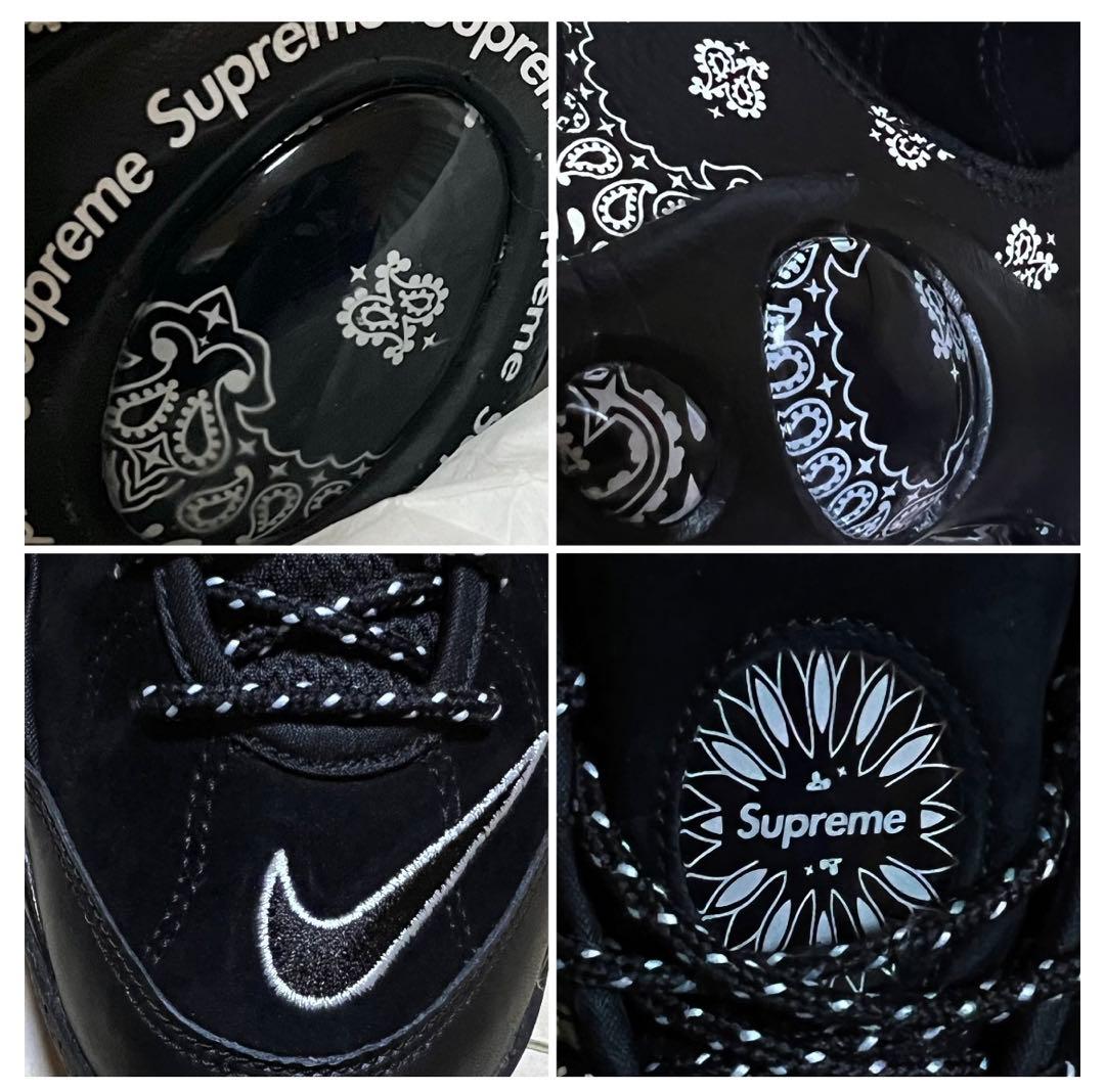 supreme/nike シュプリーム×ナイキ エア ズーム フライト95 SP