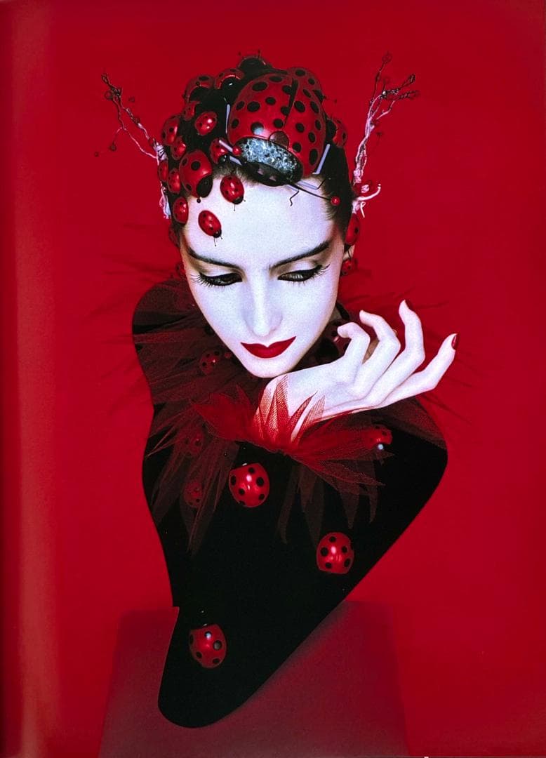 「セルジュ・ルタンス（Serge Lutens）」豪華写真集・箱入り