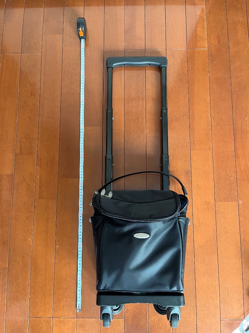 SWANY　スワニー　ソフトキャリー　A4サイズ（美品）