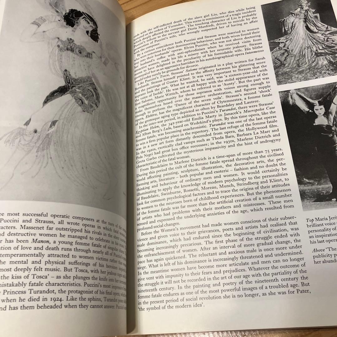 洋書 Images of evil and fascinanting women