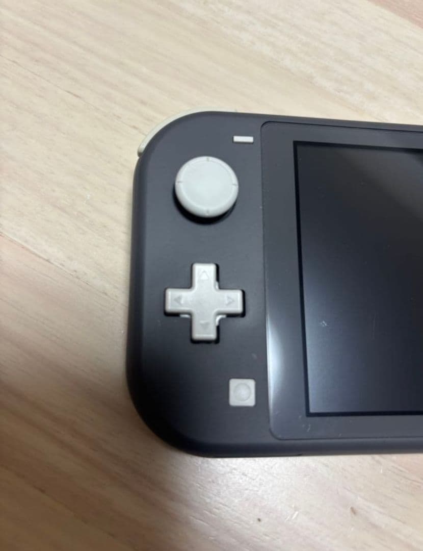 Switch Lite グレー ケース 充電器microSD 128GB付