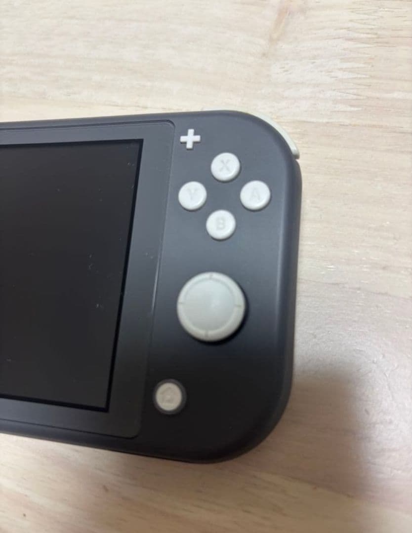 Switch Lite グレー ケース 充電器microSD 128GB付